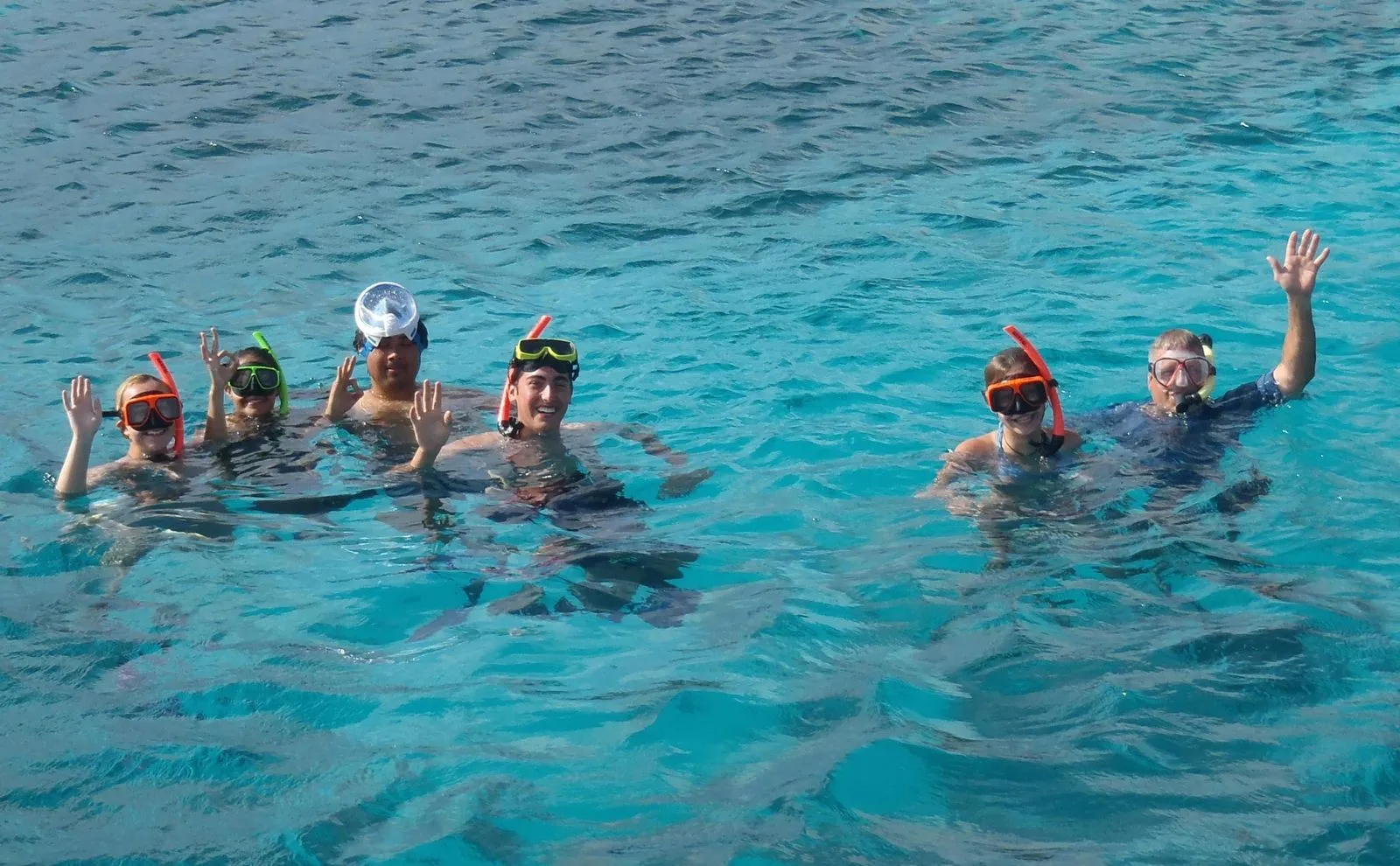 Sail, Snorkel & Dinner Tour with Blue Bay Bonaire, photo 8 of 15