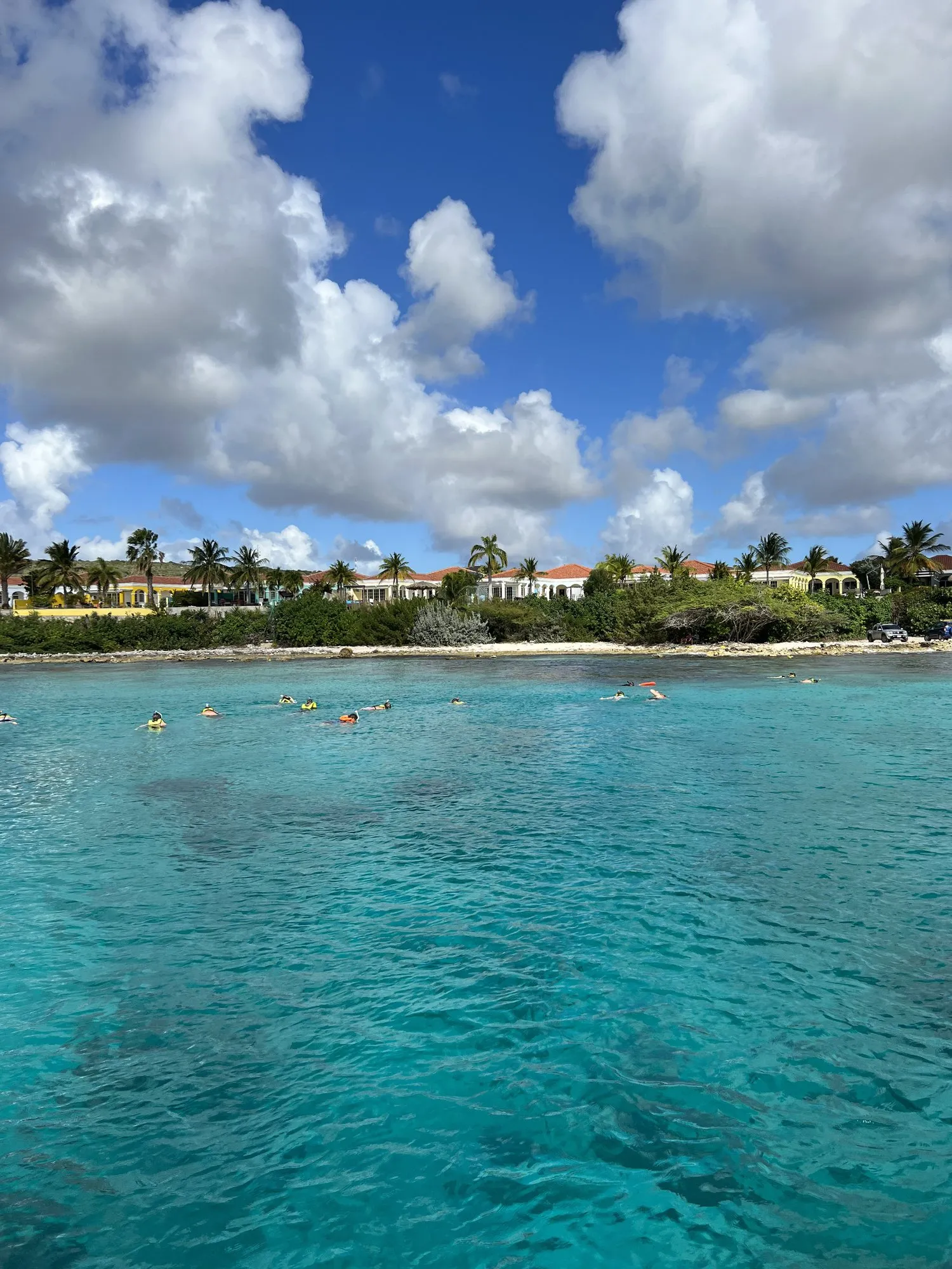 Sail, Snorkel & Dinner Tour with Blue Bay Bonaire, photo 3 of 15