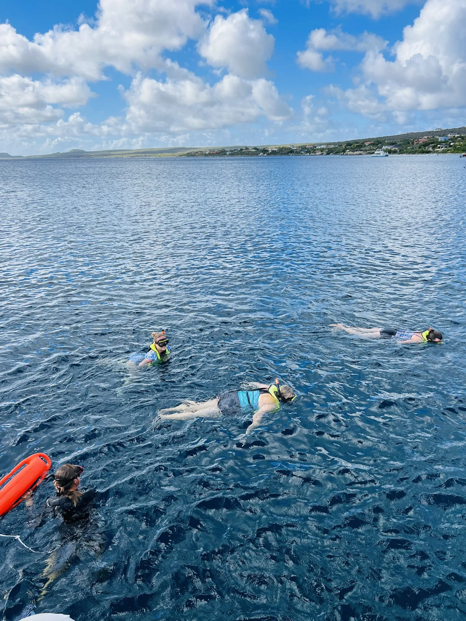 Sail, Snorkel & Dinner Tour with Blue Bay Bonaire, photo 7 of 15