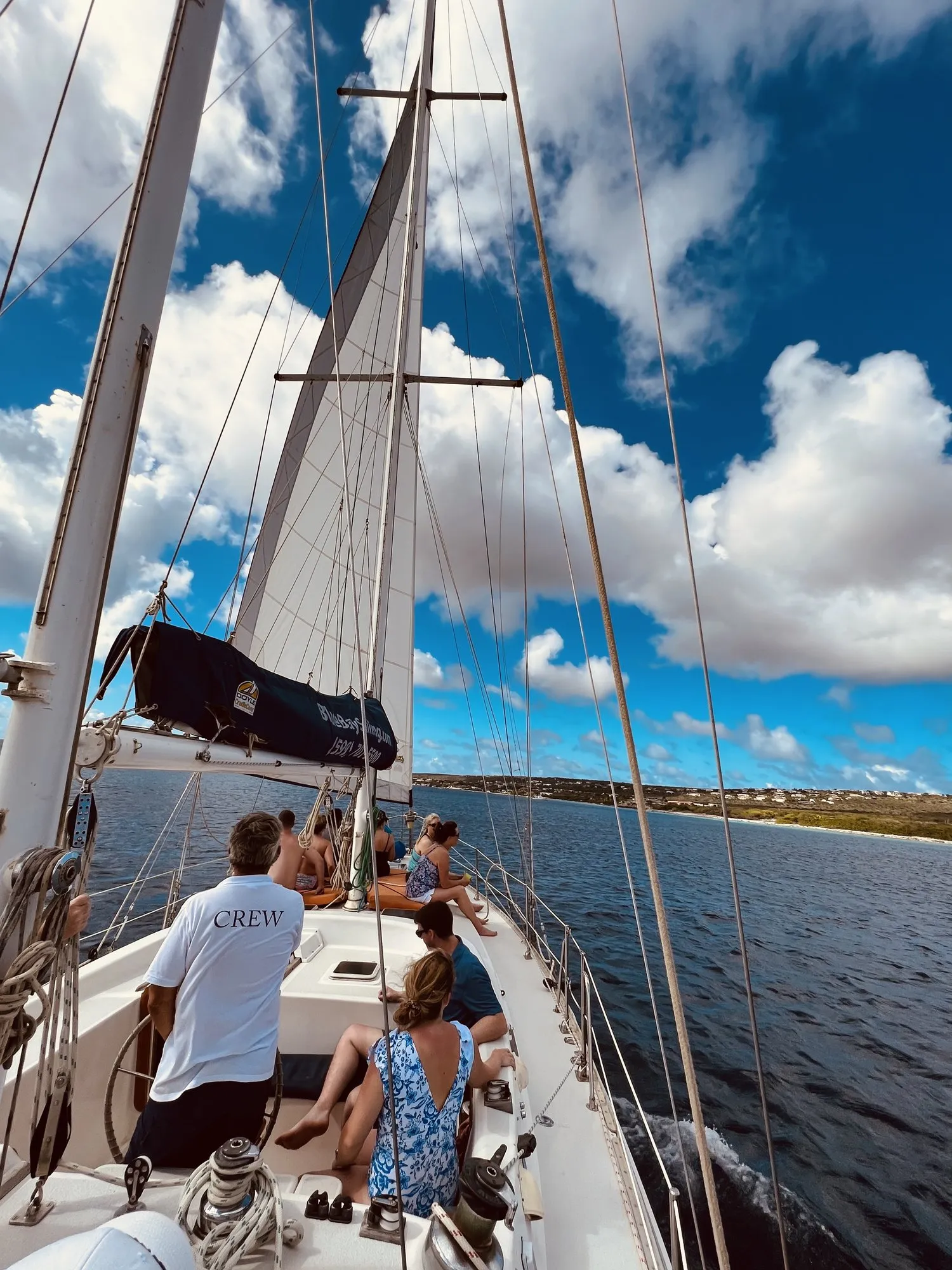 Sail, Snorkel & Dinner Tour with Blue Bay Bonaire, photo 12 of 15