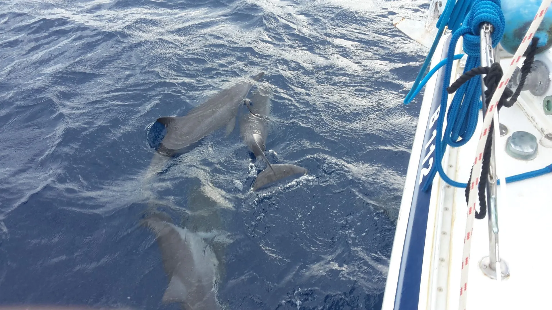 Sailing with Blue Bay Bonaire along the coast