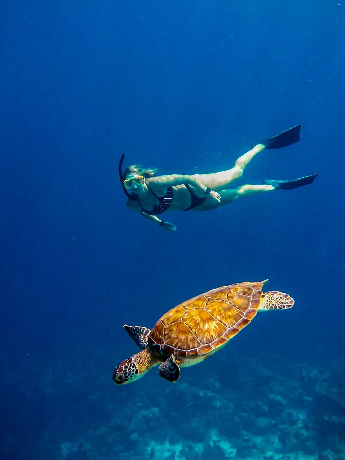 Snorkelen bij het rif van Bonaire