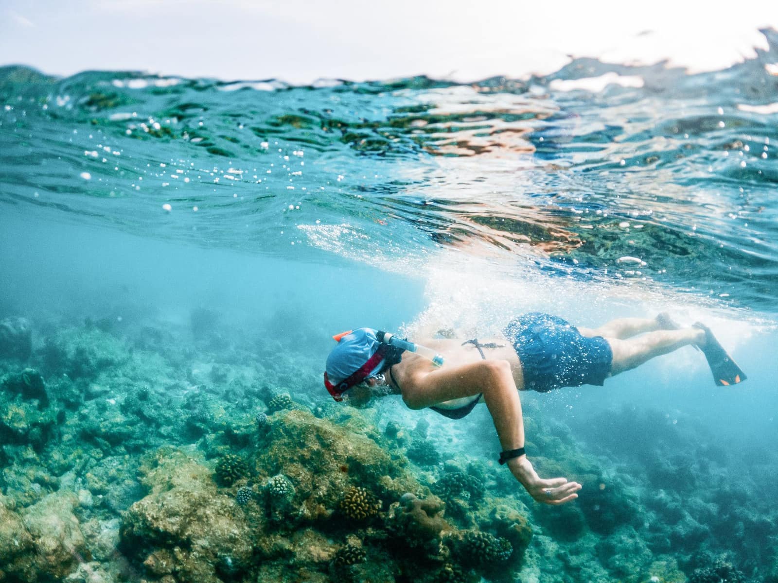 Verantwoord snorkelen boven het rif van Bonaire